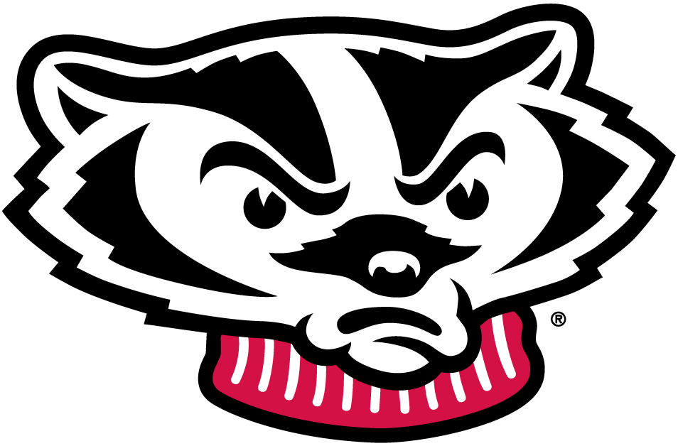 Wisconsin Badgers 2002-Pres Mascot Logo diy fabric transfer